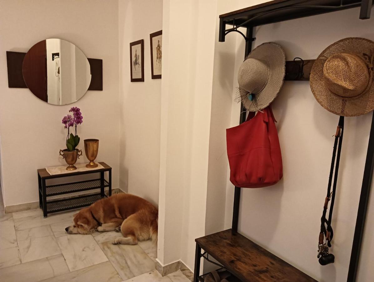 Laura Domus Apartment Portici Bagian luar foto